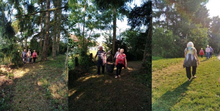 Le jardinage : une activité idéale pour les seniors